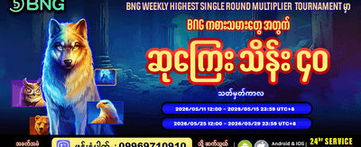 နေ့စဉ် ပရိုမိုးရှင်းများကို စစ်ဆေးပါ